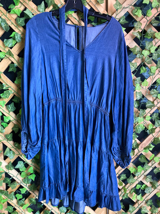 1250C Denim Dress
