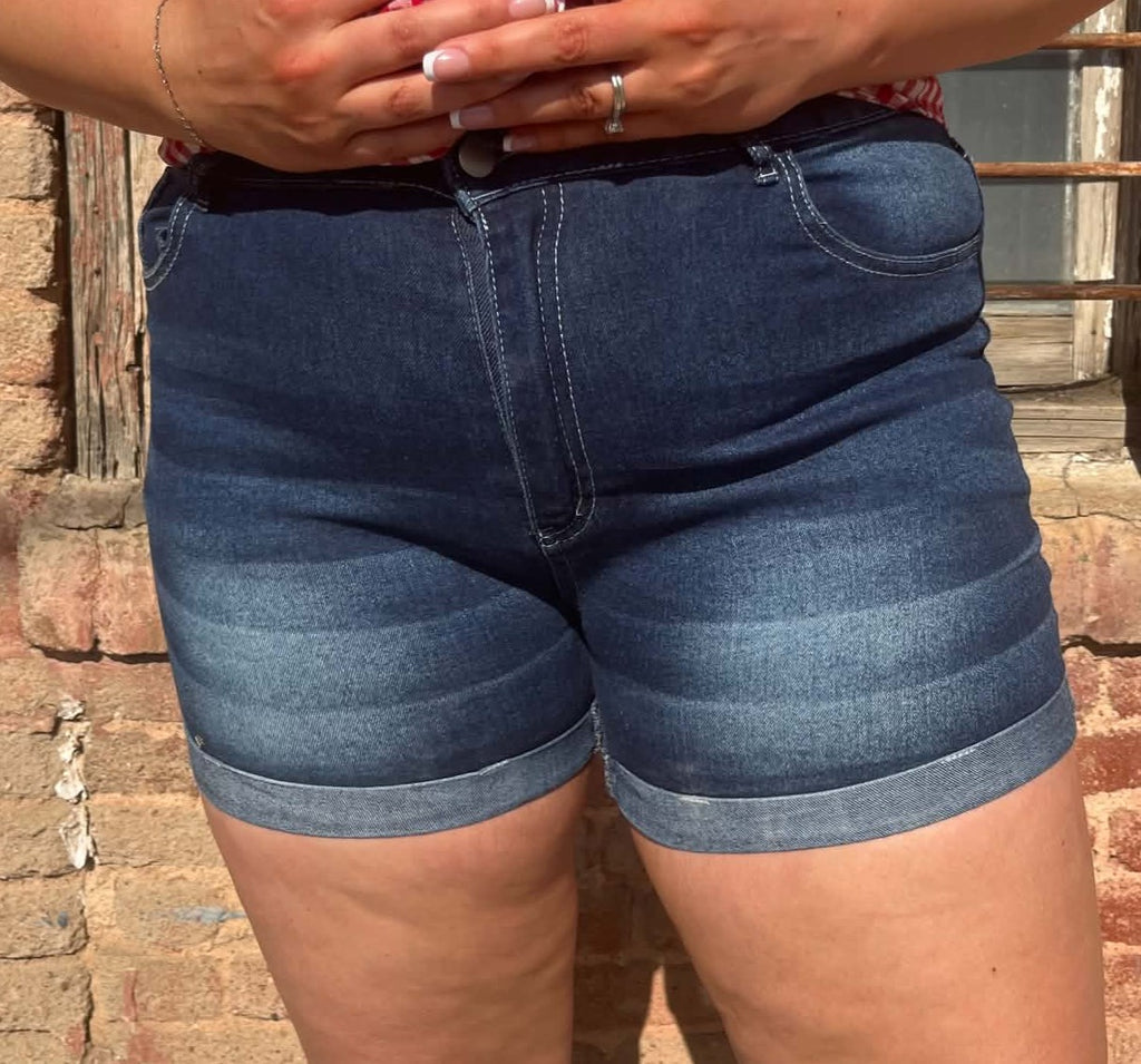 Free Spirit Embroidered Denim Shorts