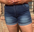 Free Spirit Embroidered Denim Shorts