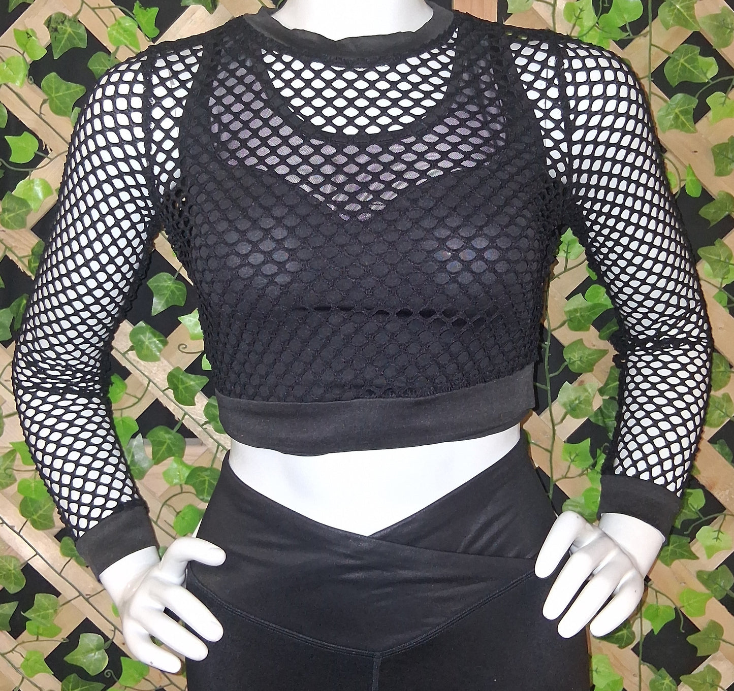 Mesh Long Sleeve Crop Top