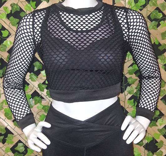 Mesh Long Sleeve Crop Top