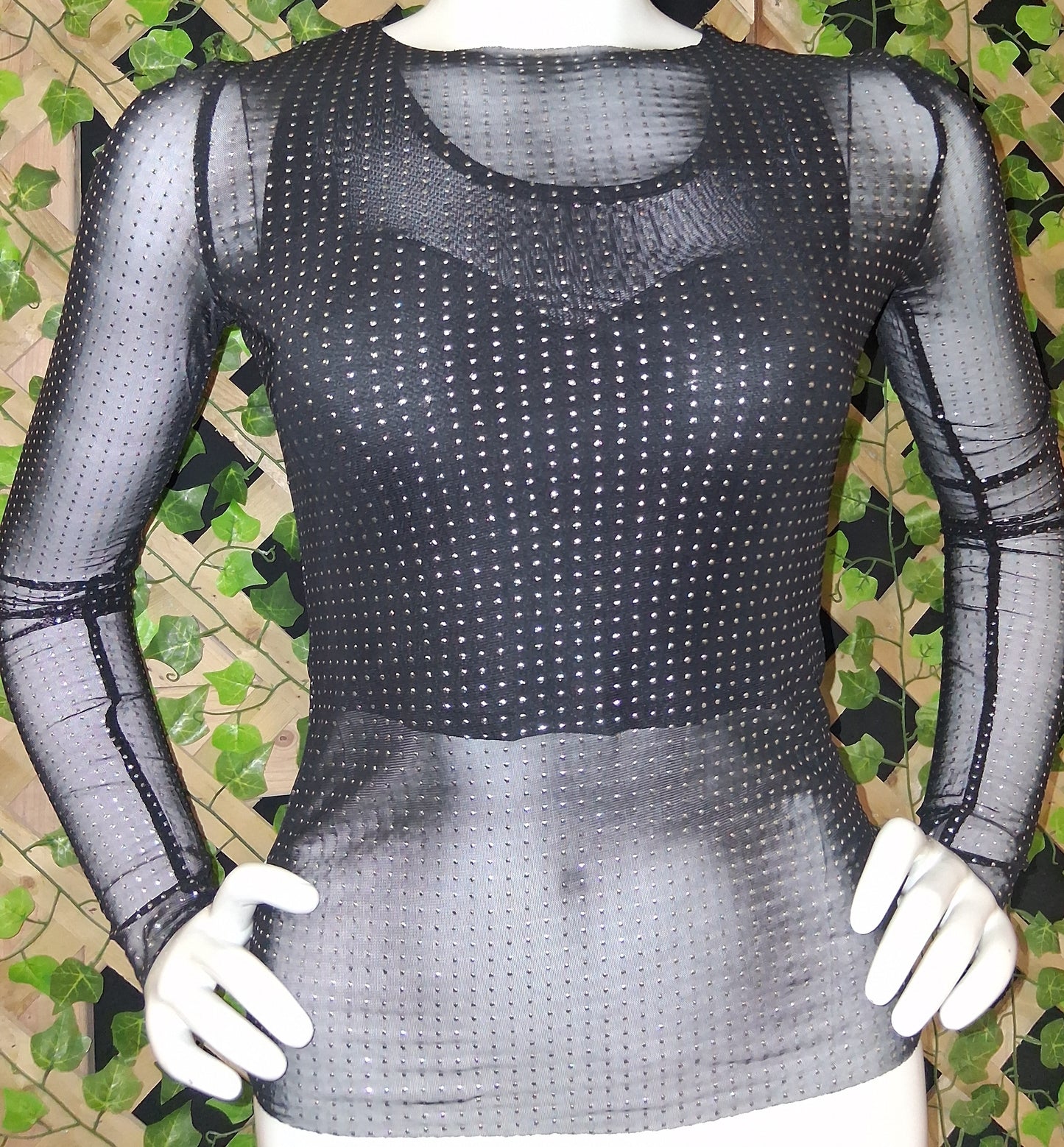 Fitted Rhinestone Sheer Long Sleeve Blouse