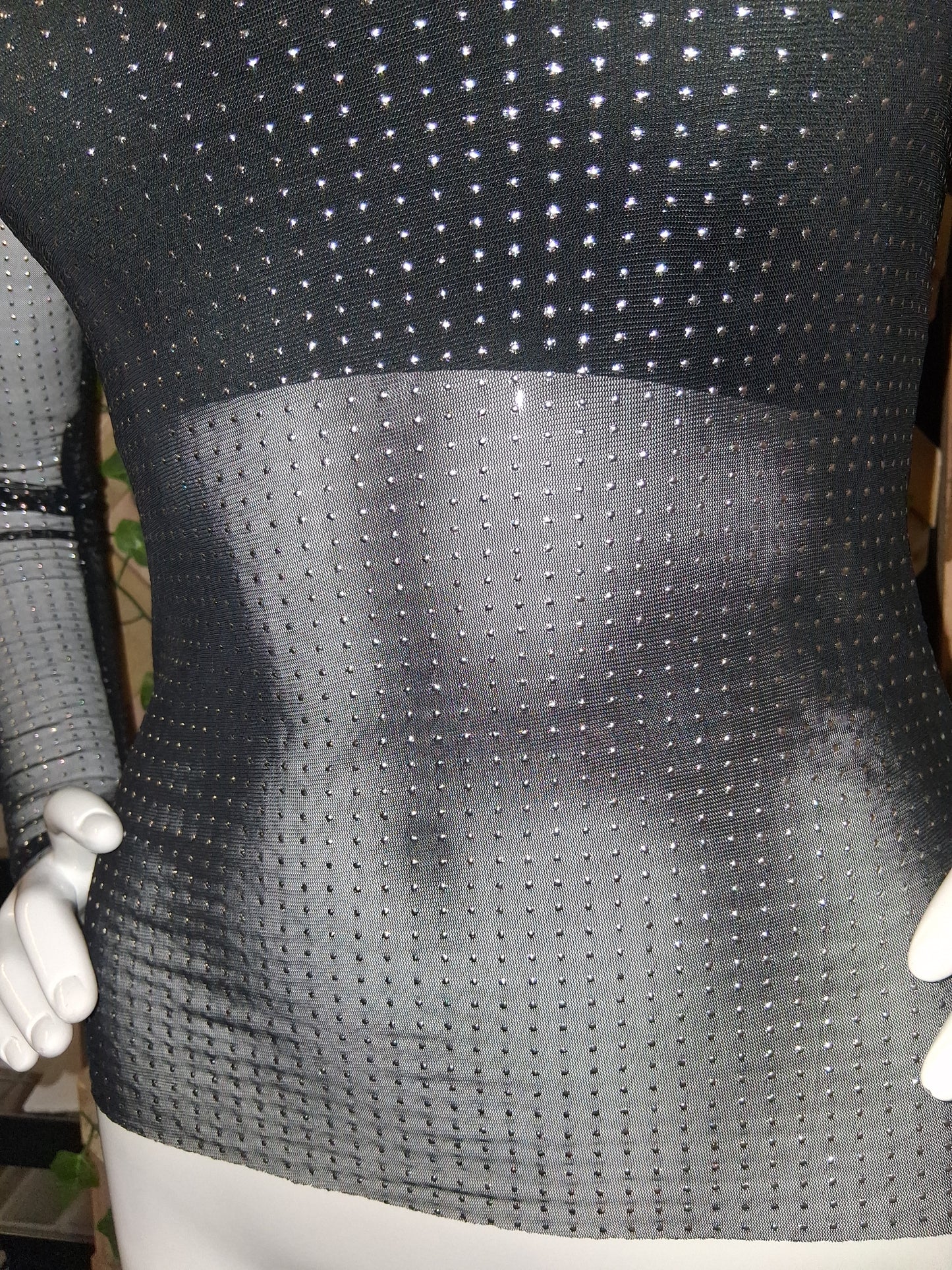 Fitted Rhinestone Sheer Long Sleeve Blouse